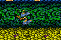 Скриншот из игры «Battletoads In Battlemaniacs»