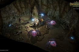 Скриншот из игры «Pathfinder: Kingmaker»