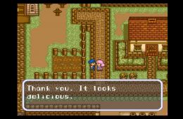 Скриншот из игры «Harvest Moon»