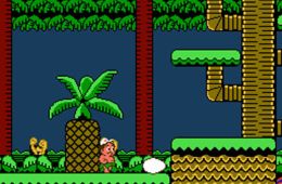 Скриншот из игры «Adventure Island II»