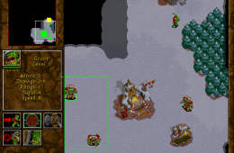 Скриншот из игры «Warcraft II: Tides of Darkness»