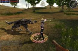 Скриншот из игры «Last Chaos»