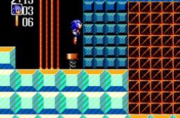 Скриншот из игры «Sonic the Hedgehog Chaos»