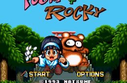 Скриншот из игры «Pocky & Rocky»