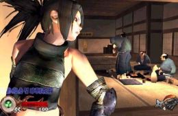 Скриншот из игры «Tenchu: Wrath of Heaven»