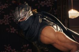 Скриншот из игры «Ninja Gaiden II Black»