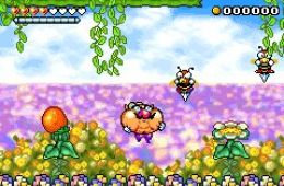 Скриншот из игры «Wario Land 4»