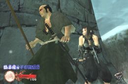 Скриншот из игры «Tenchu: Wrath of Heaven»