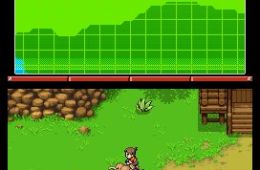 Скриншот из игры «Pokémon Ranger: Shadows of Almia»