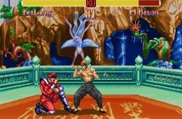 Скриншот из игры «Super Street Fighter II: The New Challengers»