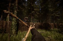 Скриншот из игры «Sons of the Forest»