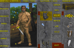 Скриншот из игры «The Elder Scrolls II: Daggerfall»