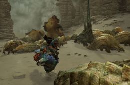 Скриншот из игры «Monster Hunter Wilds»