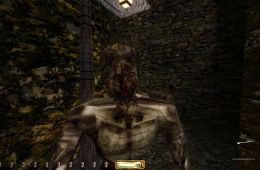 Скриншот из игры «Thief: The Dark Project»