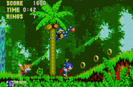 Скриншот из игры «Sonic the Hedgehog 3»