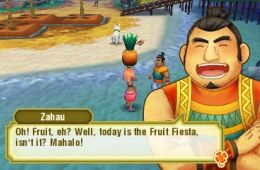 Скриншот из игры «Story of Seasons: Trio of Towns»