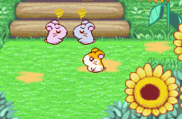 Скриншот из игры «Hamtaro: Ham-Ham Heartbreak»