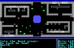 Скриншот из игры «Ultima»