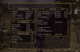 Скриншот из игры «Gothic II»