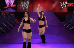 Скриншот из игры «WWE 2K14»
