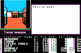 Скриншот из игры «The Bard's Tale II: The Destiny Knight»