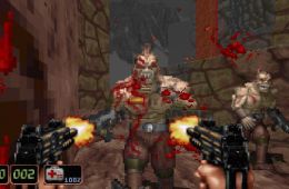 Скриншот из игры «Shadow Warrior»