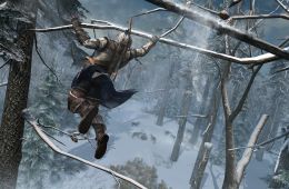 Скриншот из игры «Assassin's Creed III»