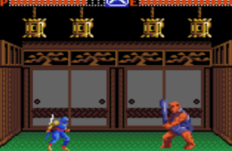 Скриншот из игры «Ninja Gaiden»