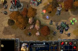 Скриншот из игры «Warcraft III: Reign of Chaos»