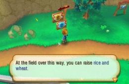 Скриншот из игры «Story of Seasons»