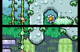 Скриншот из игры «Yoshi's Island DS»