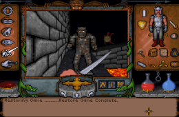 Скриншот из игры «Ultima Underworld: The Stygian Abyss»