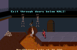 Скриншот из игры «Indiana Jones and the Temple of Doom»