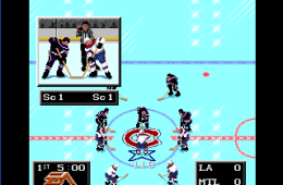 Скриншот из игры «NHL '94»