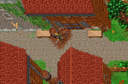 Скриншот из игры «Ravendawn»