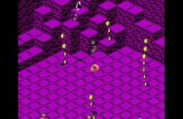 Скриншот из игры «Snake Rattle 'n' Roll»