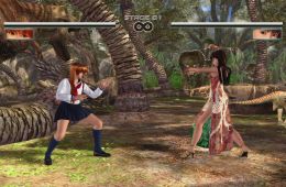 Скриншот из игры «Dead or Alive 4»