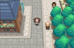 Скриншот из игры «Pokémon Black Version 2»