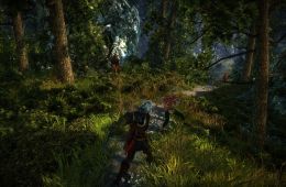 Скриншот из игры «The Witcher 2: Assassins of Kings»