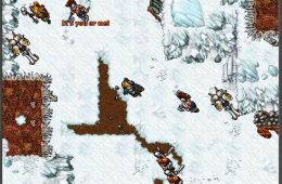 Скриншот из игры «Tibia»