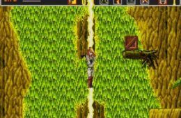 Скриншот из игры «The Revenge of Shinobi»