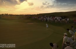 Скриншот из игры «Tiger Woods PGA Tour 14»