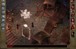 Скриншот из игры «Baldur's Gate II: Shadows of Amn»
