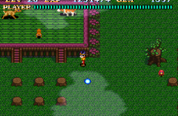 Скриншот из игры «Soul Blazer»