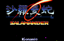 Скриншот из игры «Salamander»