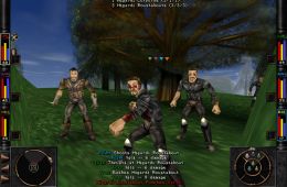 Скриншот из игры «Wizardry 8»