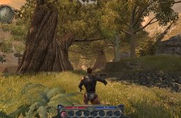 Скриншот из игры «Divinity II: Ego Draconis»