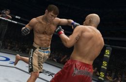 Скриншот из игры «UFC Undisputed 3»