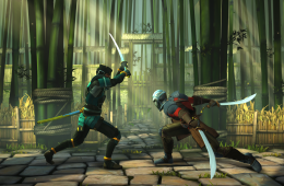 Скриншот из игры «Shadow Fight 3»
