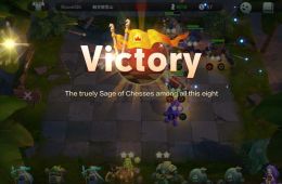 Скриншот из игры «Auto Chess»